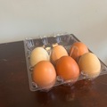 Selling with online payment: Farm fresh chicken eggs