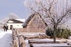 Termin: Thementag: Winter in Lauresham