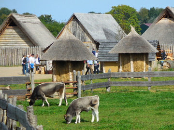 Találkozó: Thementag im Freilichtlabor Lauresham: Frühlingsfest mit Feldtag