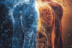 Selling: BIOLOGY READING!! This Is What your body says!! 