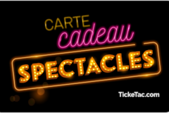 Vente: e-Carte cadeau Ticketac (174€)