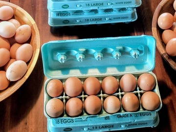 Selling with In-person Payment: Farm fresh brown eggs L-XL