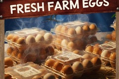 Selling with online payment: Fresh Farm Chicken Eggs 