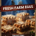 Selling with online payment: Fresh Farm Chicken Eggs 