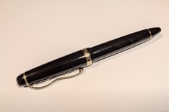 Renting out: Sailor Profit Theta (M)