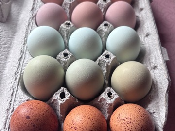Selling with In-person Payment: Rainbow Eggs