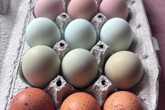 Selling with In-person Payment: Rainbow Eggs