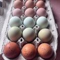 Selling with In-person Payment: Rainbow Eggs