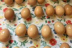 Selling with online payment: Fresh Brown Eggs for Sale