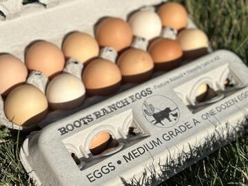 Selling with online payment: Case Quantity (15 dz) - Corn Free Soy Free Pastured Raised Local