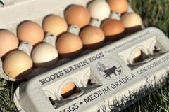 Selling with online payment: Case Quantity (15 dz) - Corn Free Soy Free Pastured Raised Local