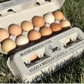 Selling with online payment: Case Quantity (15 dz) - Corn Free Soy Free Pastured Raised Local