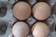 Selling with online payment: Farm Fresh Desi Chicken Eggs – Daily Fresh Supply