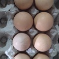 Selling with online payment: Farm Fresh Desi Chicken Eggs – Daily Fresh Supply