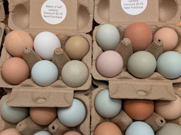 Selling with In-person Payment: Farm fresh cage free multicolored eggs