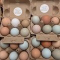 Selling with In-person Payment: Farm fresh cage free multicolored eggs