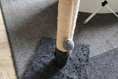 Selling: Grattoir pour chat 40 cm état neuf
