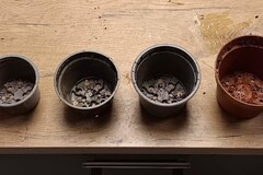 Don: Pot de Fleur, pots de pépinière, pot de rempotage, godet de semis