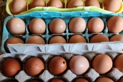 Selling with In-person Payment: Farm Fresh Eggs