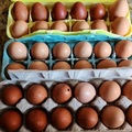 Selling with In-person Payment: Farm Fresh Eggs