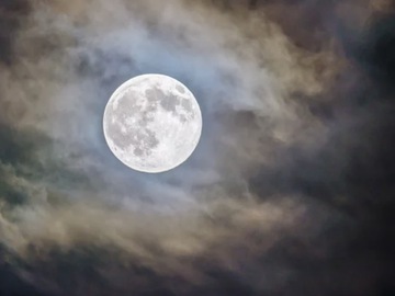 Selling: Full Moon Release & Realignment Reading!