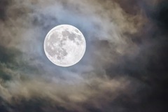 Selling: Full Moon Release & Realignment Reading!