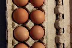 Selling with online payment: Farm Fresh Eggs 