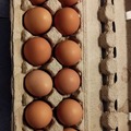 Selling with online payment: Farm Fresh Eggs 