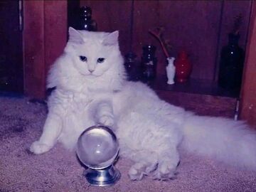 Selling: How he/she feels for me? 