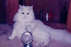 Selling: How he/she feels for me? 