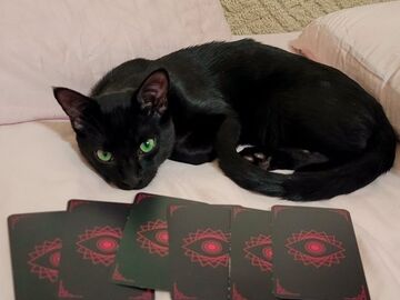 Selling: SPECIAL OFFER. Powerful Love Tarot Reading 