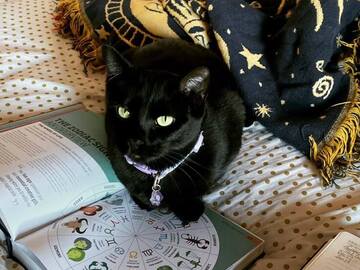 Selling: Detailed love psychic reading