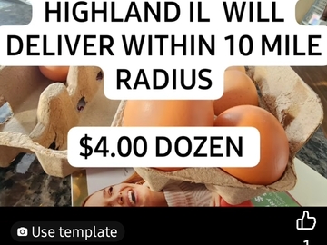 Selling with In-person Payment: Peaceful Haven 