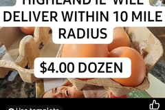 Selling with In-person Payment: Peaceful Haven 