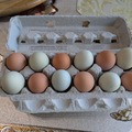 Selling with In-person Payment: Brown and blue eggs 