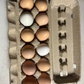 Selling with In-person Payment: Fresh eggs in Montevallo/Calera area