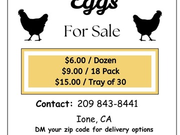 Selling with In-person Payment: Fresh Pasture Raised Eggs