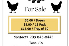Selling with In-person Payment: Fresh Pasture Raised Eggs