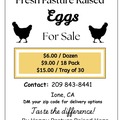 Selling with In-person Payment: Fresh Pasture Raised Eggs