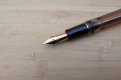 Renting out: Pilot Custom 823 (FA nib)