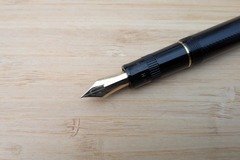 Renting out: Pilot Justus 95 (F)