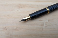 Renting out: Pilot Justus (vintage) (F or M)