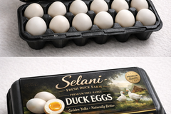 Selling with online payment: Pekin duck eggs