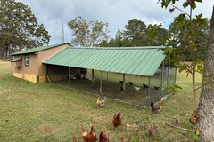 Selling with online payment: Fresh Eggs for Sale Carrollton GA Please read description!