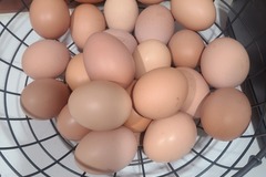 Selling with In-person Payment: Farm fresh brown eggs
