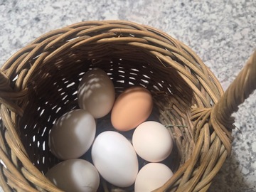 Selling with In-person Payment: A Slice of Life