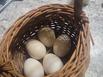 Selling with In-person Payment: A Slice of Life