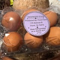 Selling with online payment: Backyard Fresh Eggs - Emory, Texas