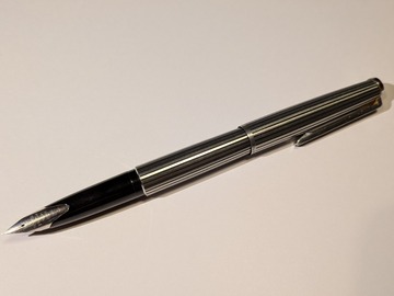 Renting out: Pilot Custom Black Stripe (F)
