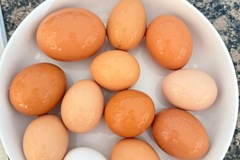 Selling with In-person Payment: Free Range Chicken Eggs 